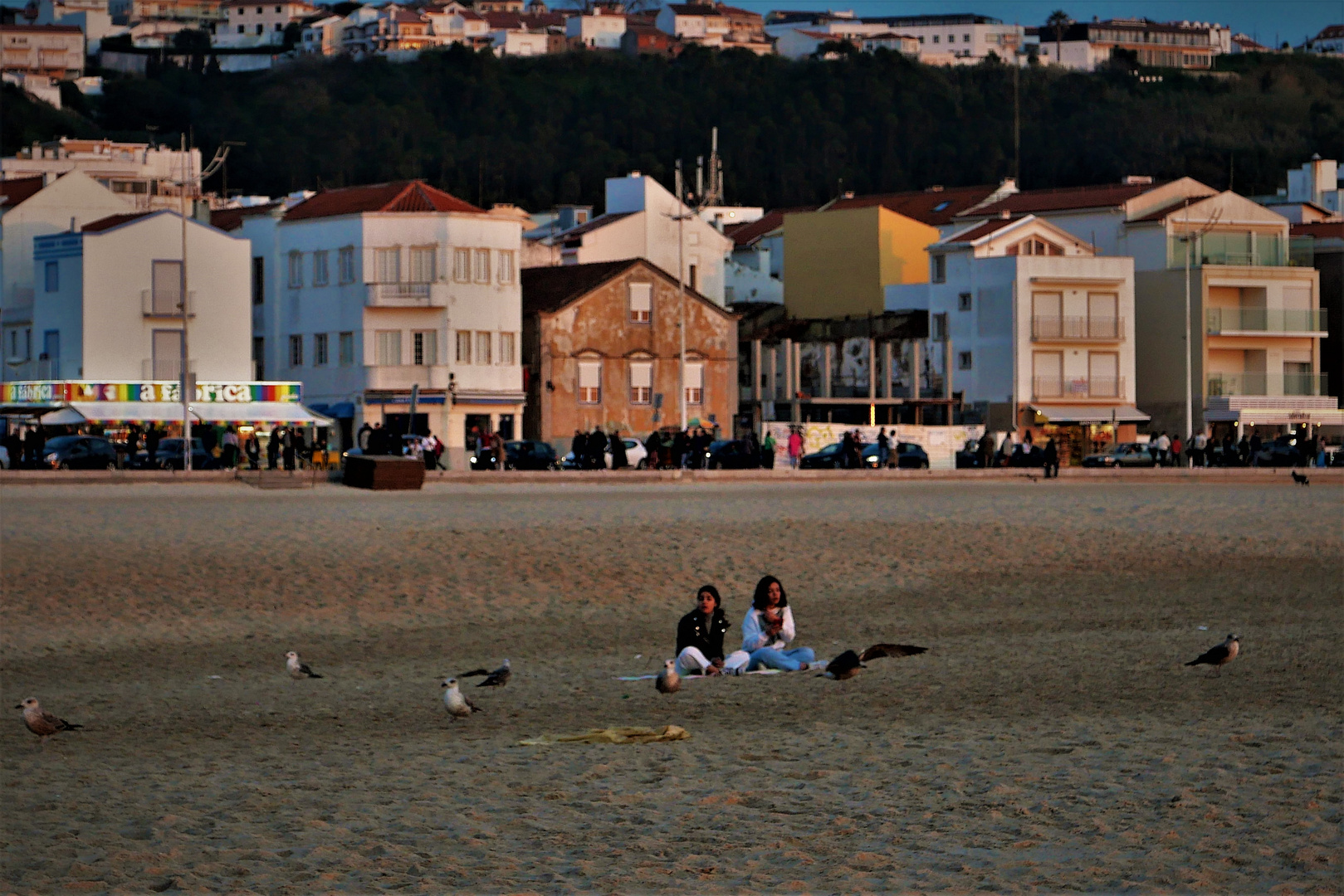 Nazaré beach