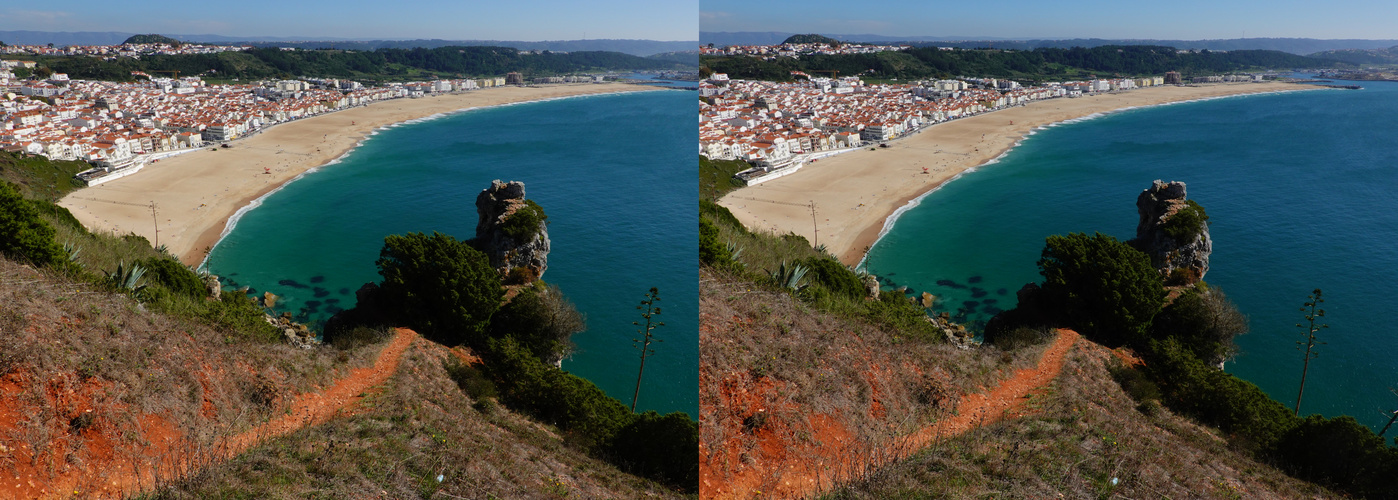 Nazare Felspeak Agave von oben (3D-X-View)