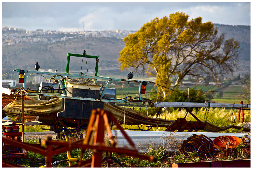 Nazareth Mountains