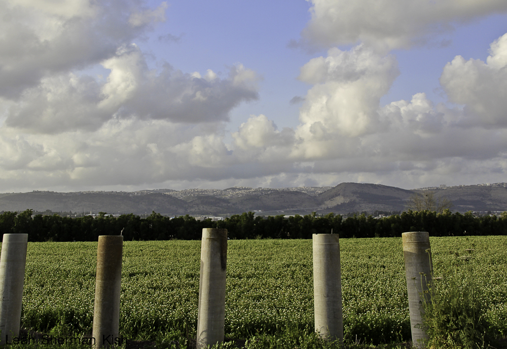 Nazareth Mountains as seen from the valley below