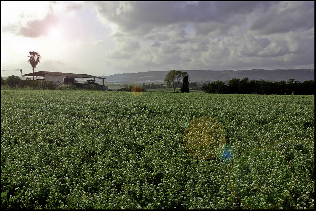 Nazareth Mountains as seen from the valley below2