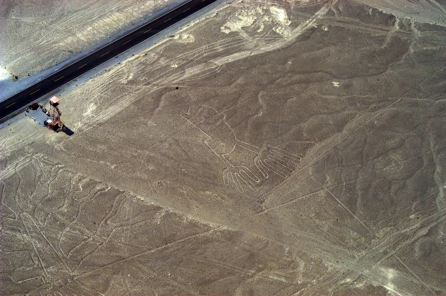 Nazca lines