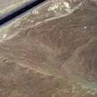 Nazca lines