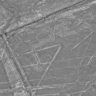 Nazca Linien 1