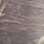 Nazca-Linien (2): Der Baum