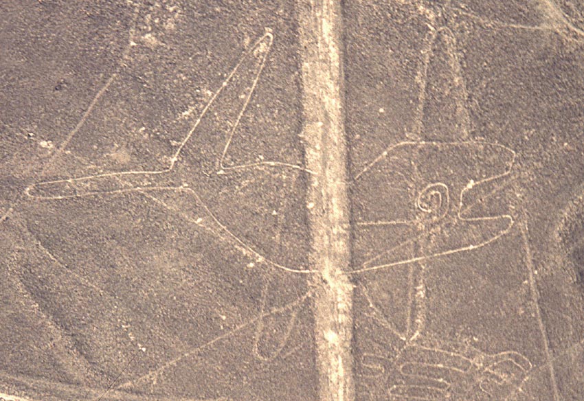 Nazca-Linien (4): Der Wal