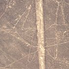 Nazca-Linien (4): Der Wal