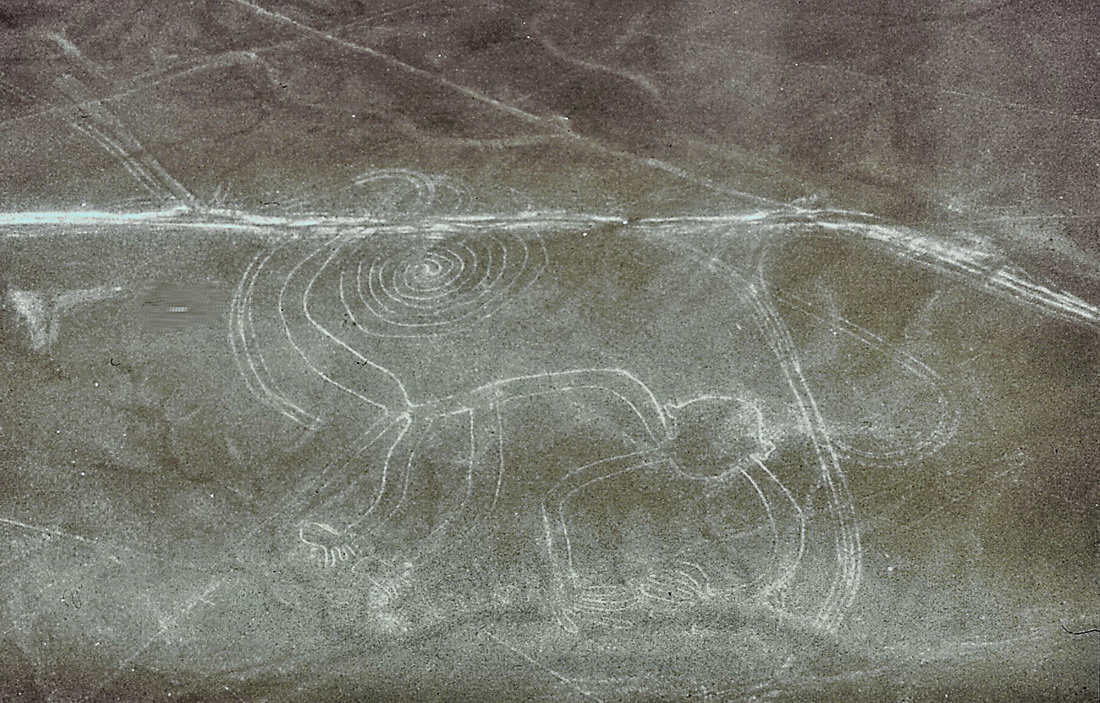 Nazca Linien, Der Affe