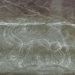 Nazca Linien, Der Affe