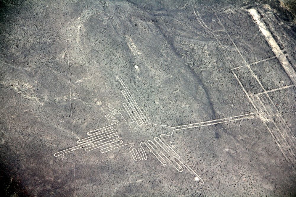 Nazcalines Hummingbird