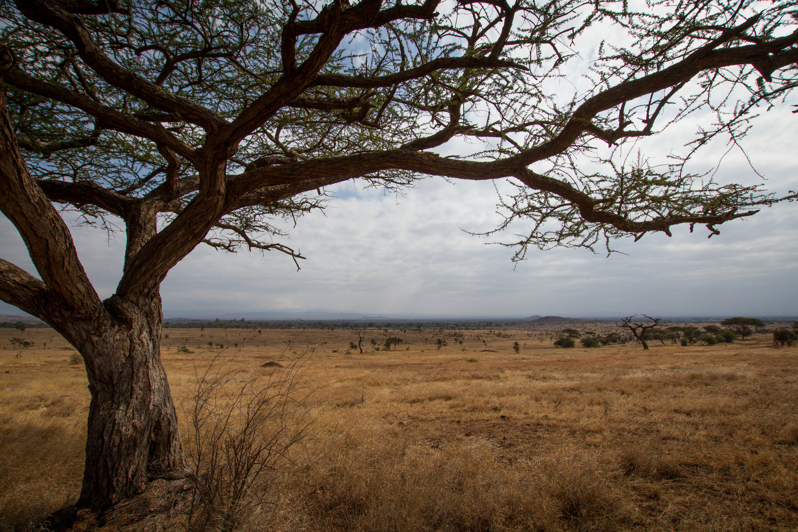 Ndarakwai, Tansania