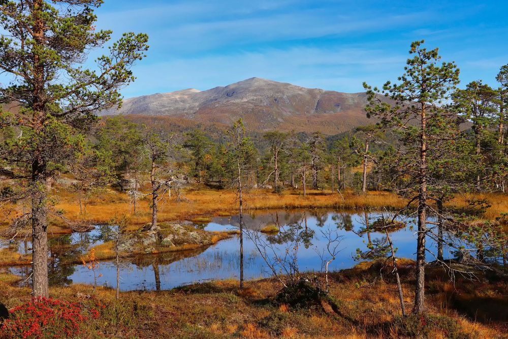 Ånderdalen-Nationalpark-2