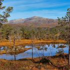 Ånderdalen-Nationalpark-2