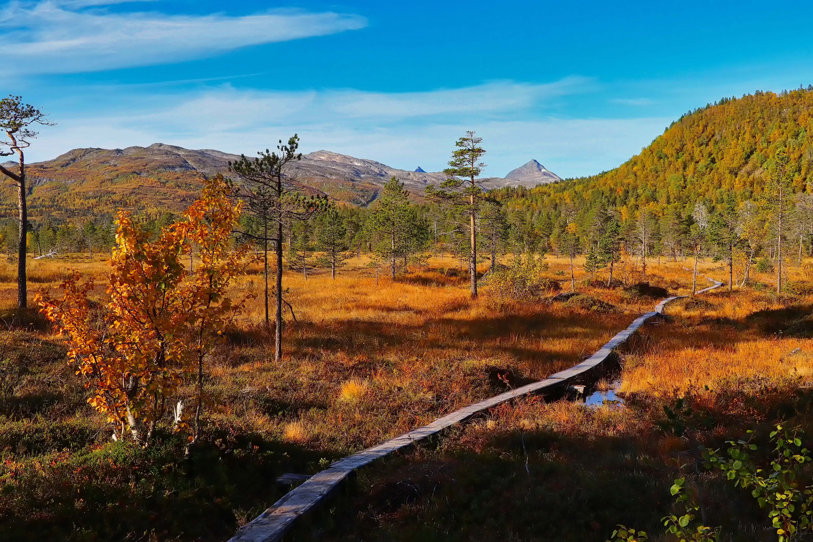 Ånderdalen-Nationalpark