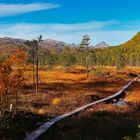 Ånderdalen-Nationalpark