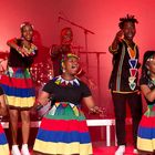 Ndlovu Youth Choir [ZAF]