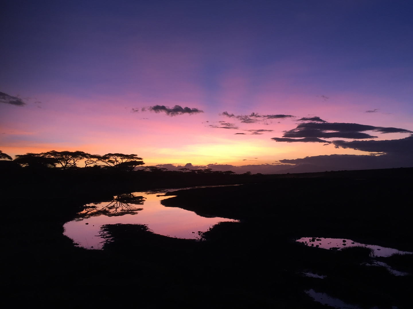 Ndutu Sunrise