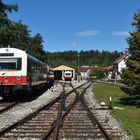 NE 81 auf der SAB im Bf Münsingen 20.9.2023