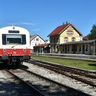 NE 81 der SAB im Bf Münsingen 20.9.2023