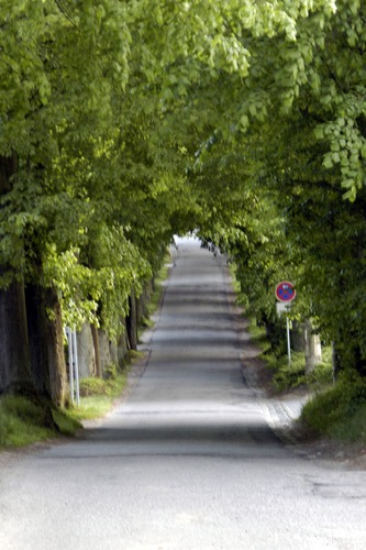 ne Allee mitten in Bergen (Rügen)