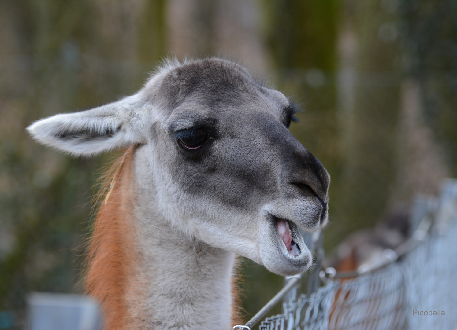 Ne Besuch im Zoo oh oh oh