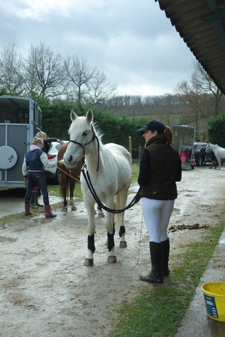 Ne faire qu'un avec son cheval