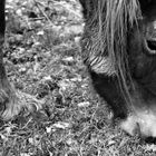 Ne pas être à cheval sur le cadrage...