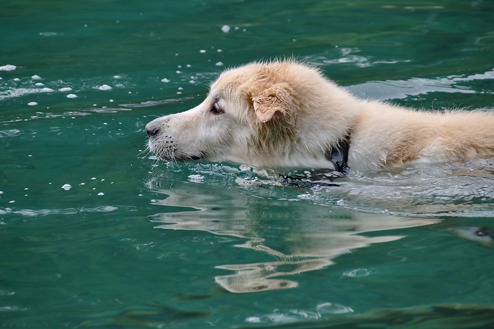 ´ne Runde Schwimmen