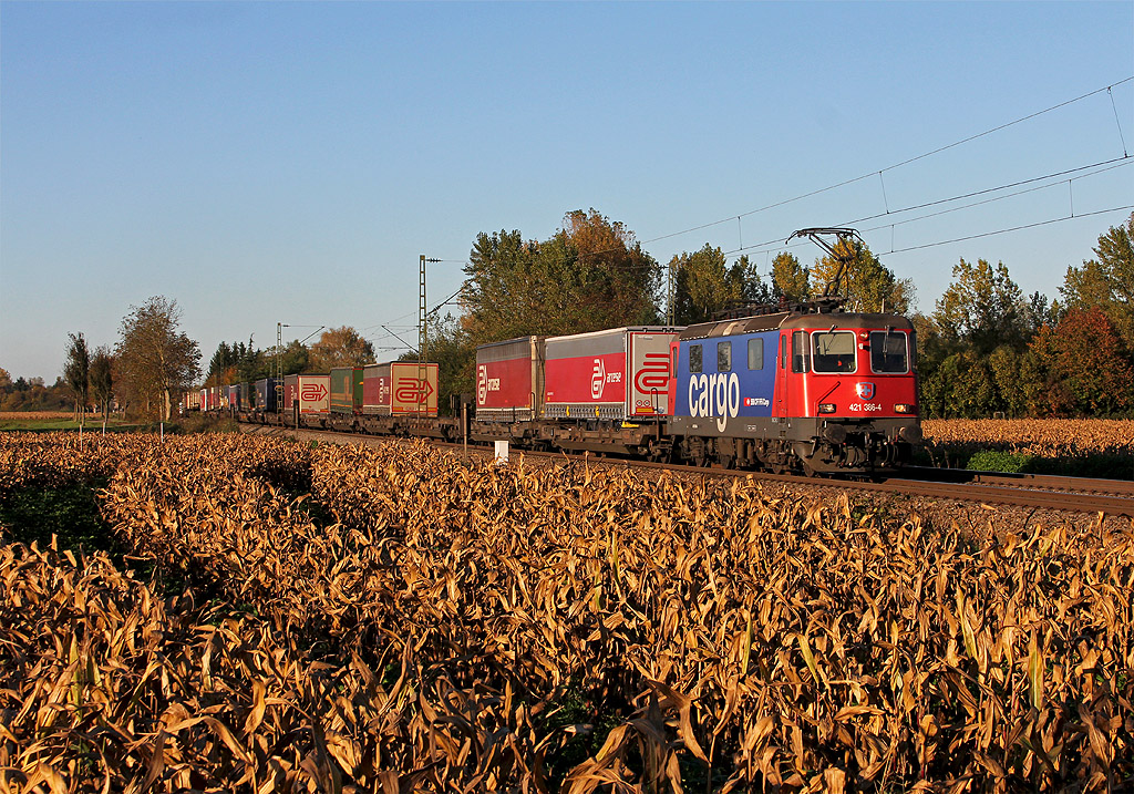 Ne Schweizerin am Oberrhein