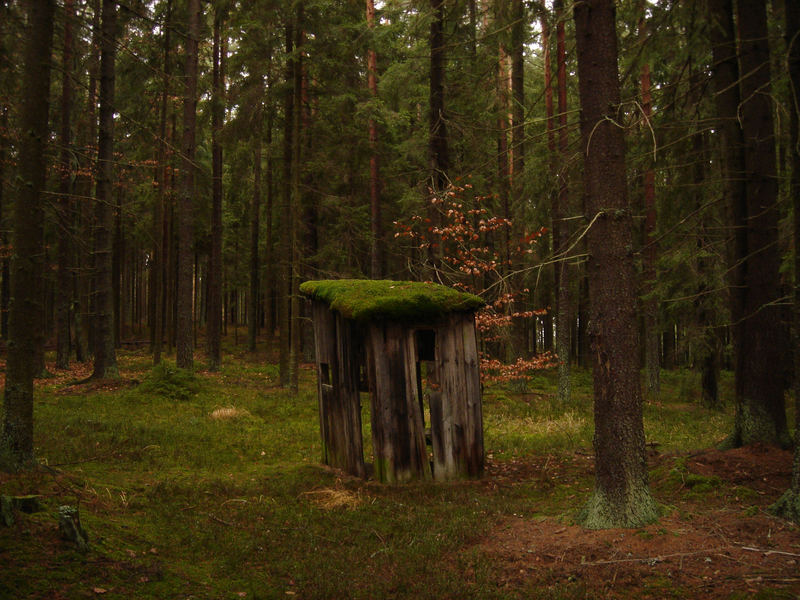 Ne Toilette mitten im tiefen Wald mal ????