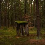 Ne Toilette mitten im tiefen Wald mal ????