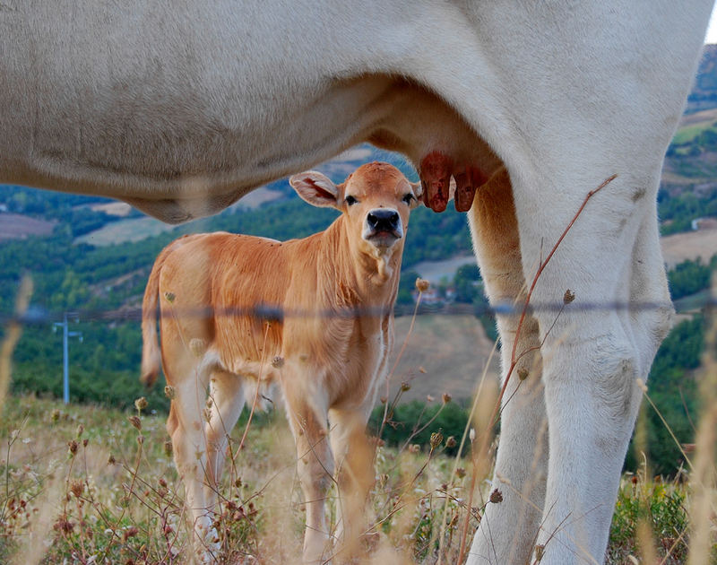 ...."ne voglio ancoraa!!!"