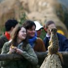 Ne, was sind das für komische Tiere!