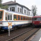 NE81 der SWEG und Ürdinger Schienenbus im Bf Meckesheim