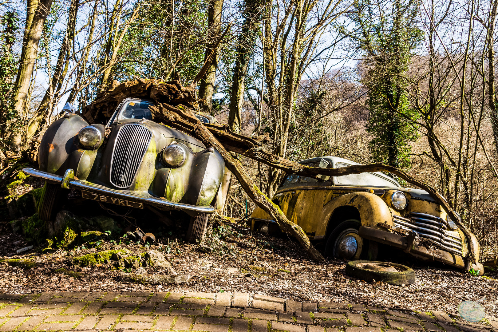 Neandertal, Erkrath - Oldtimer von Michael Fröhlich 1