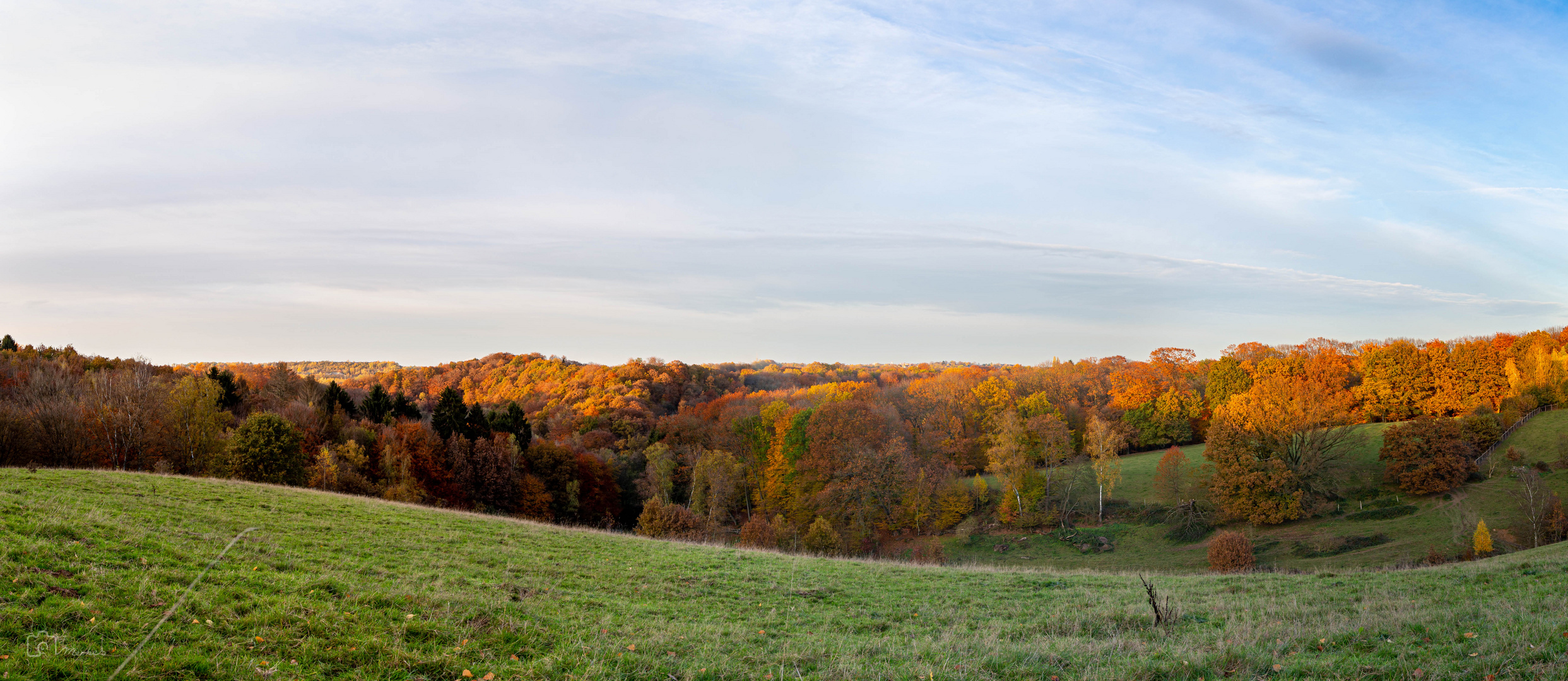 Neandertal im Herbst