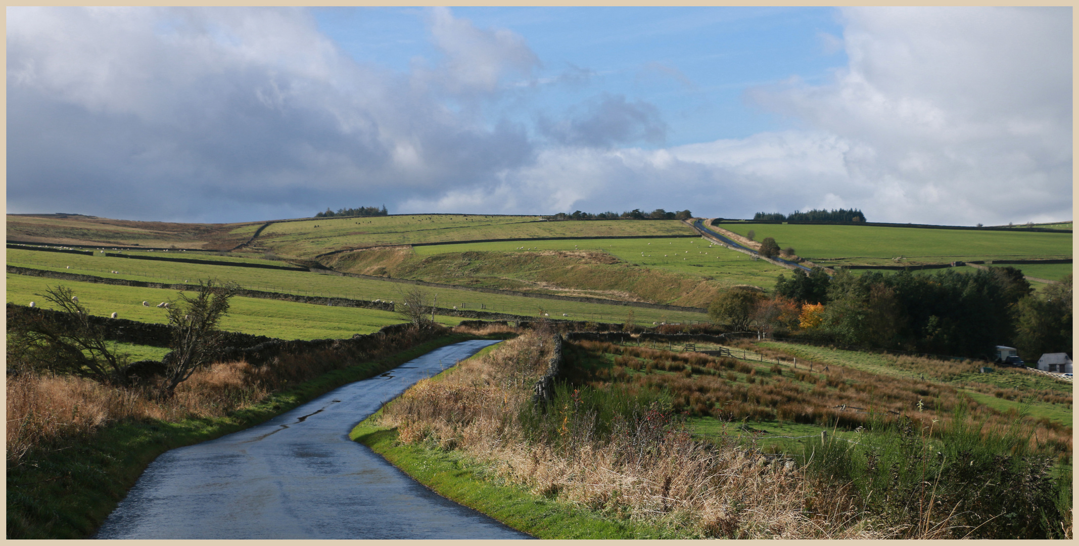 near allendale town 3