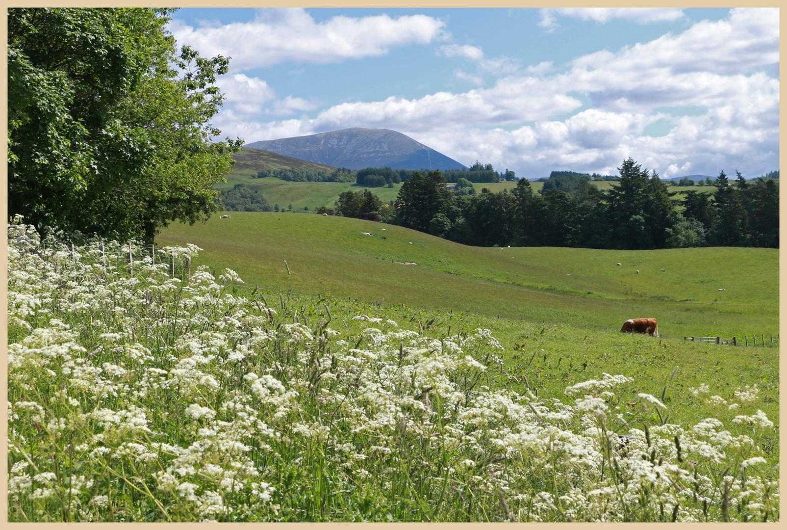 near blair castle 15