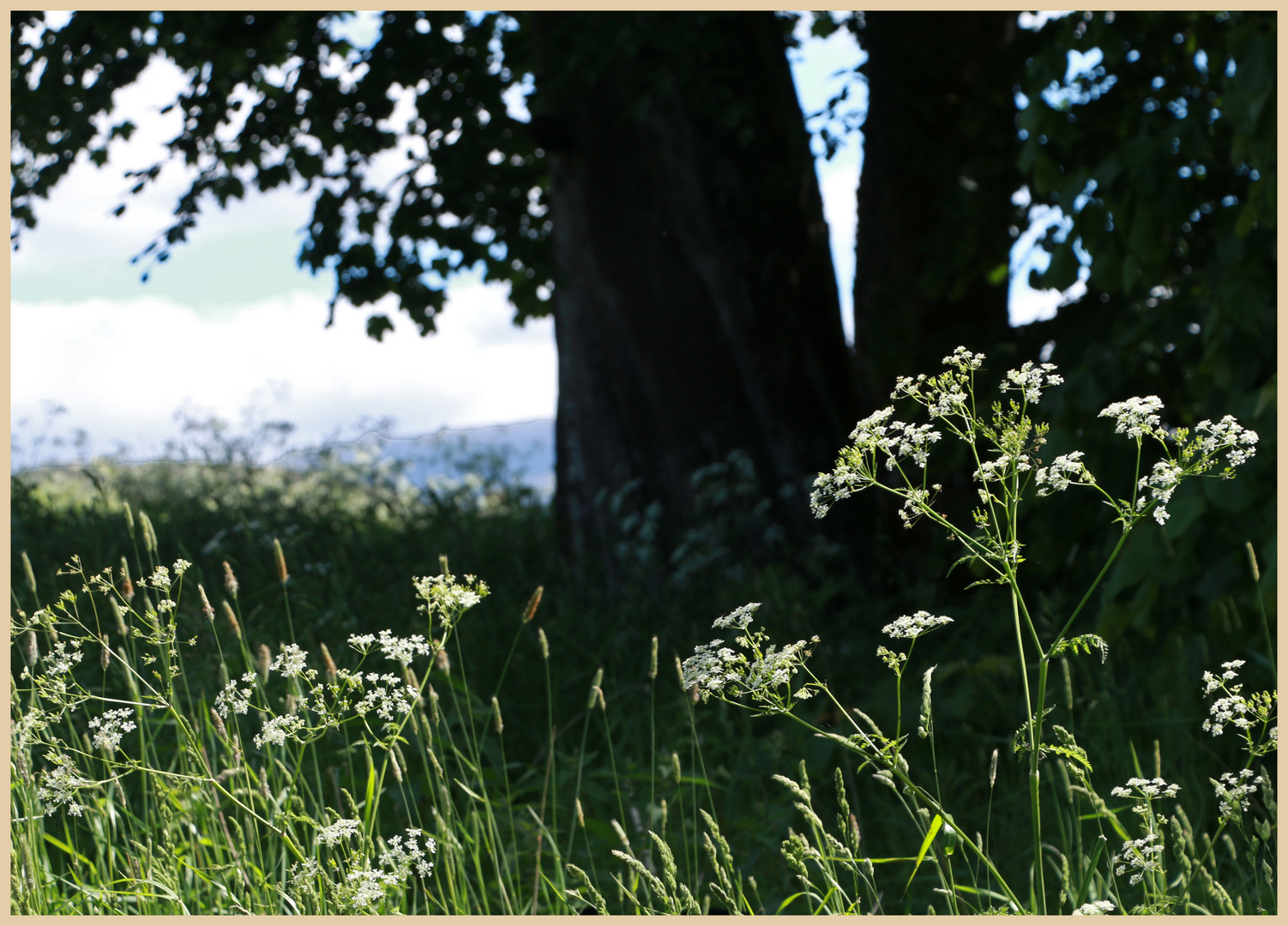 near blair castle 17