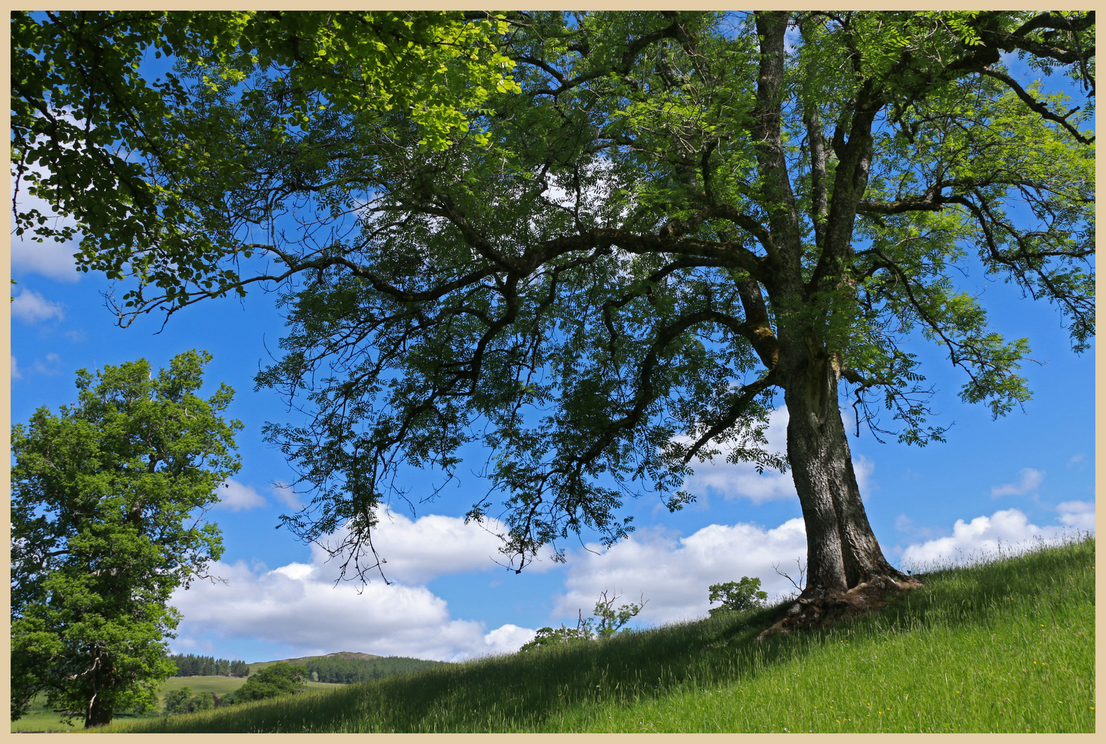 near blair castle 2