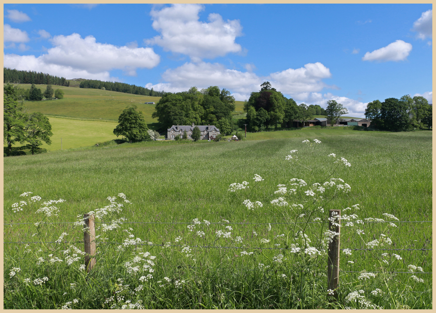 near blair castle 8