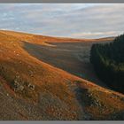 near Brough law Cheviot Hills