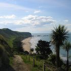 Near Cape Kidnappers