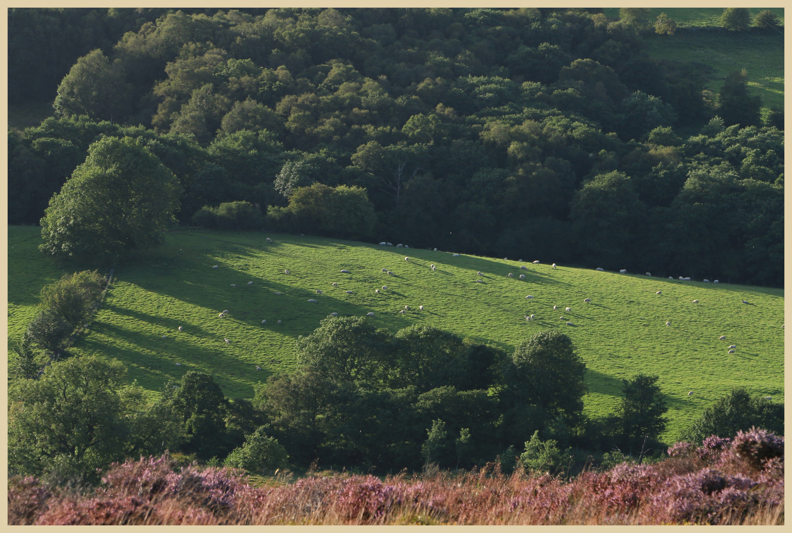 near castleton 8