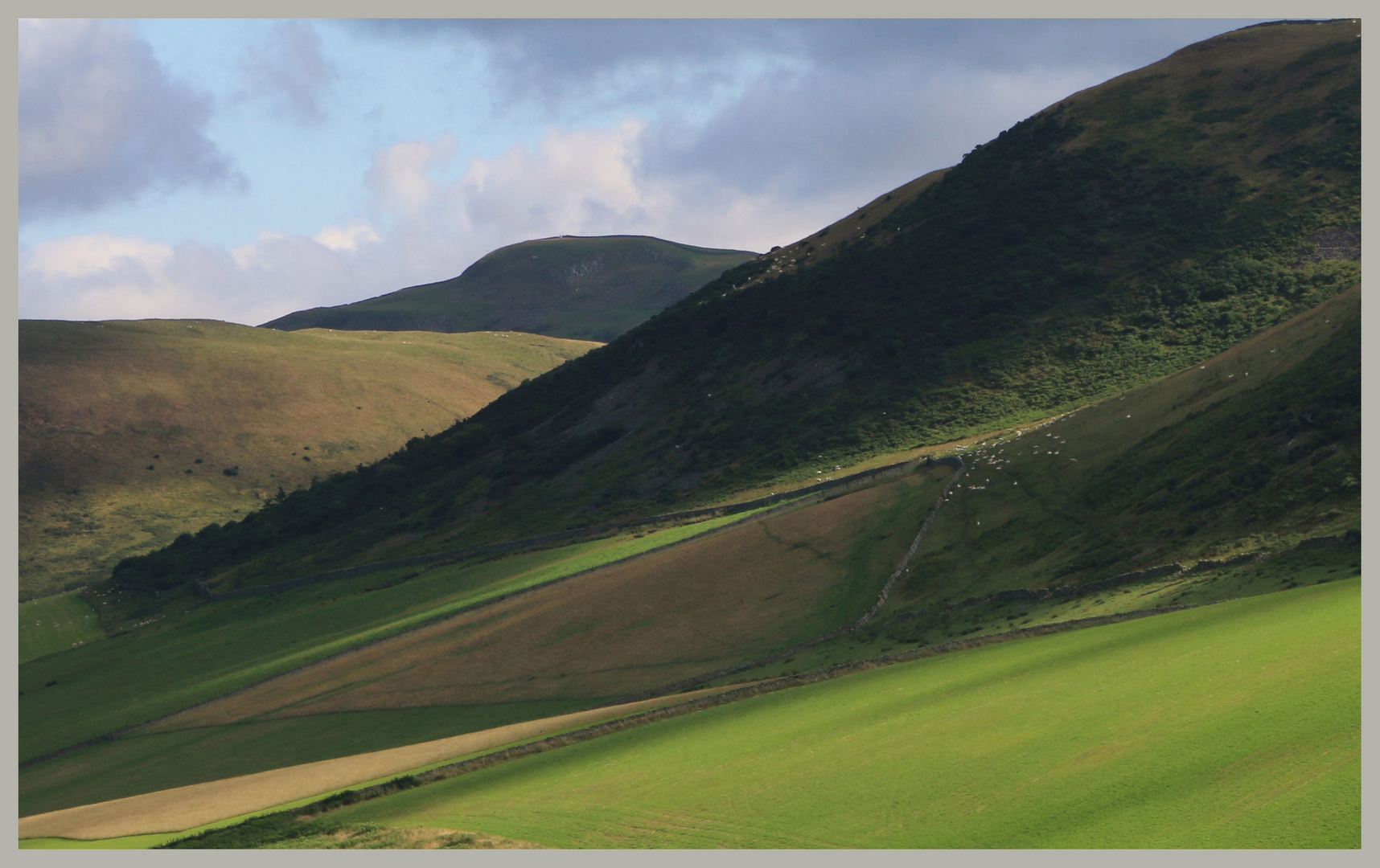 near cliftoncote farm Cheviot Hills 4A