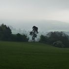 near Crickhowell, Brecon Beacons