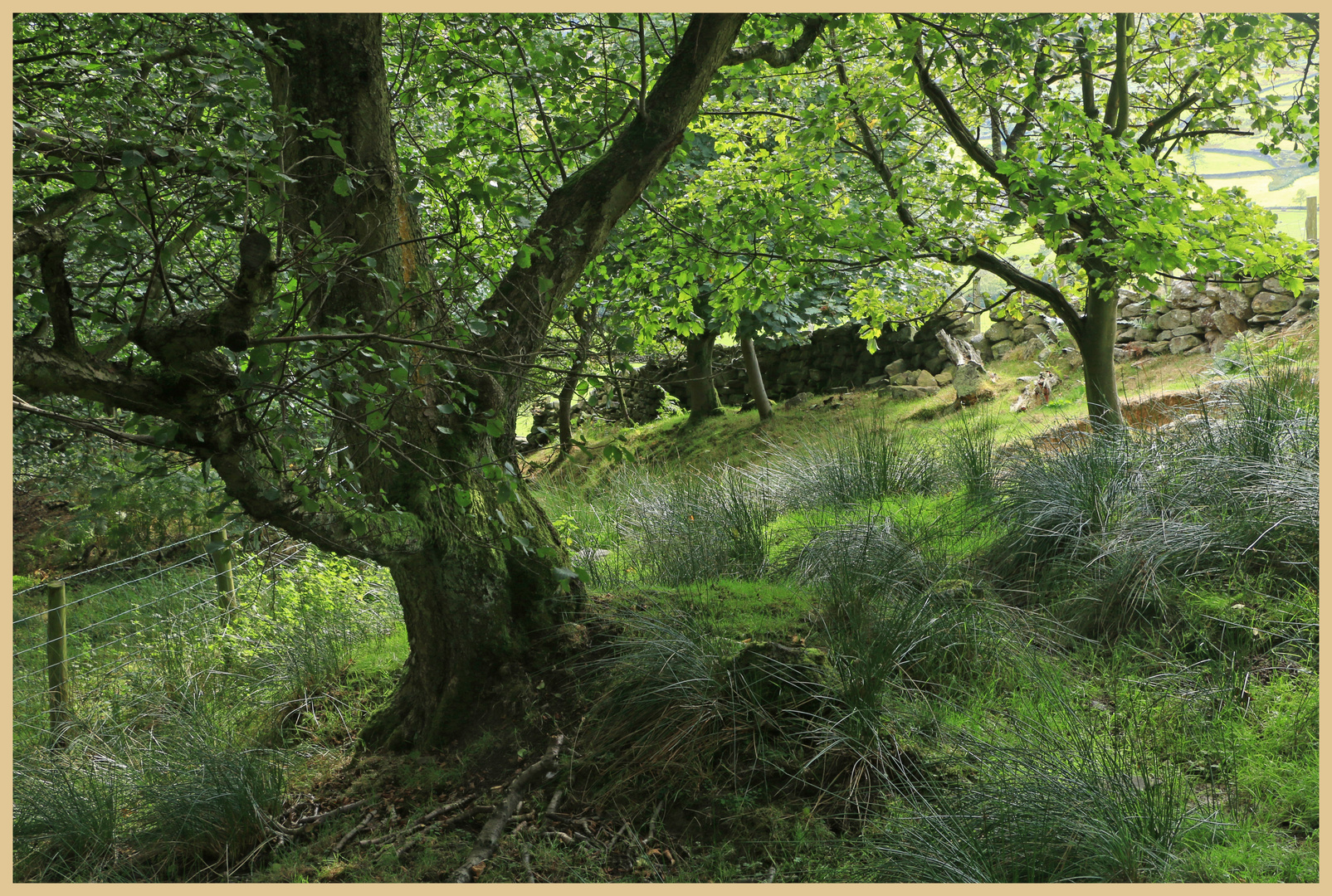 near dalehead farm