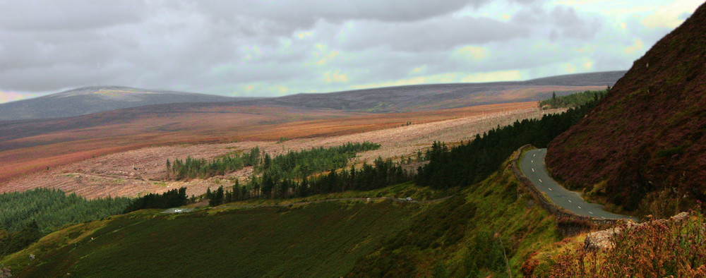 Near Dublin