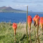 near Dunquin