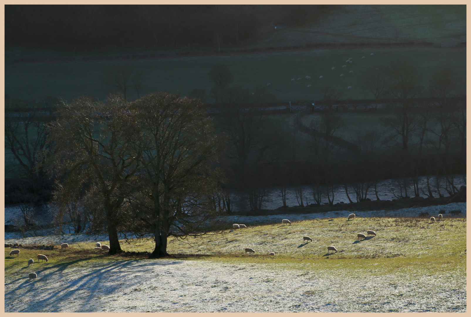 near east applegarth 12